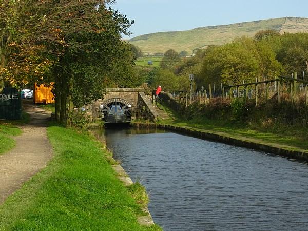 Diggle Portal