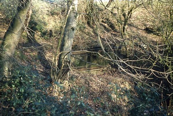 Hardham Tunnel