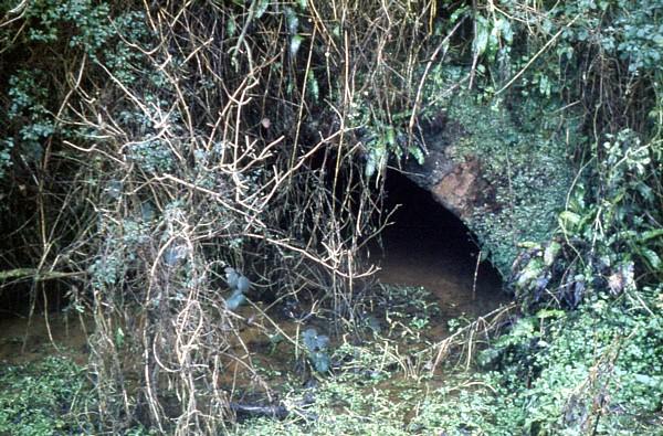 Hardham Tunnel