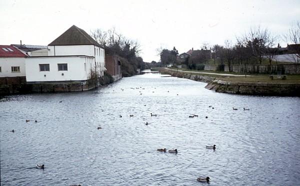 Chichester Basin