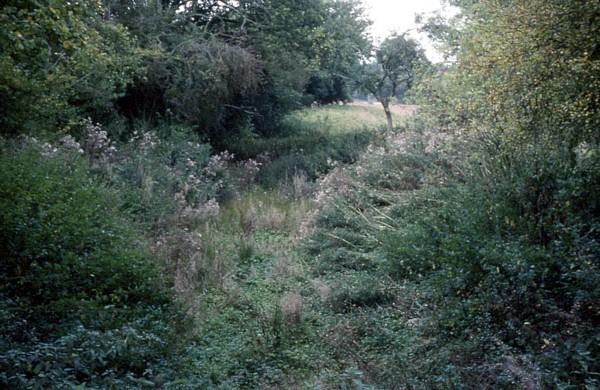 Rowley Lock