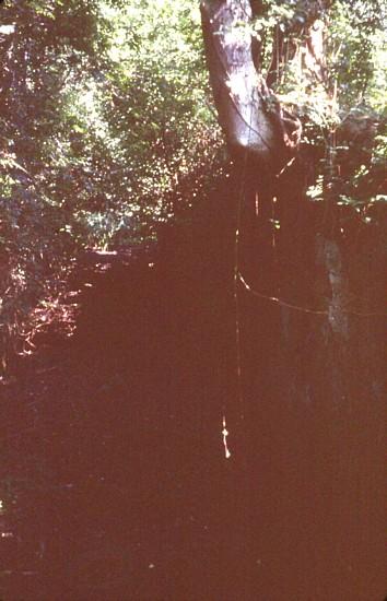 Brewhurst Lock 5