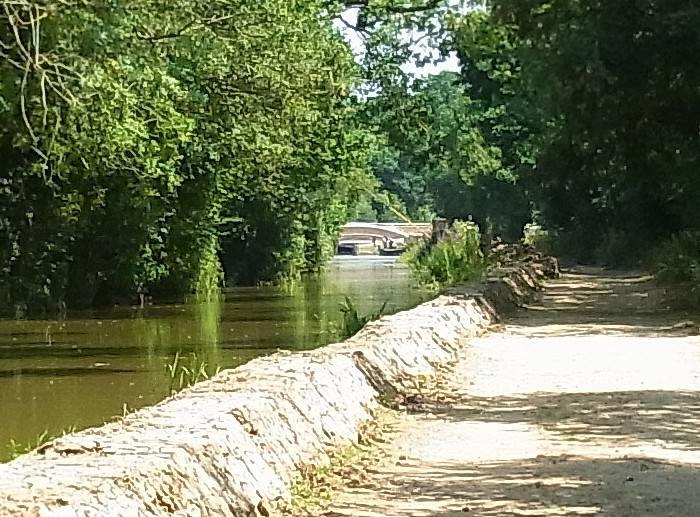 Loxwood Lock