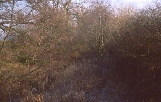 Near Berwick Wharf