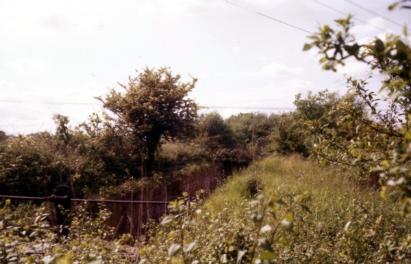 Peaty Lock