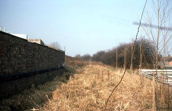 Canal behind tavern