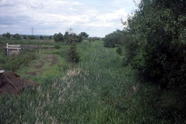 above Turnip Lock
