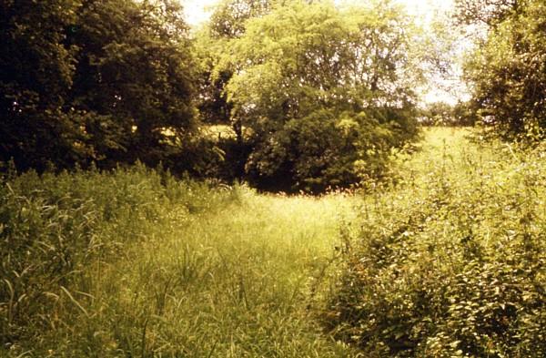 Putnal Fields Tunnel