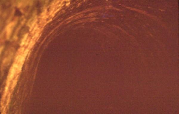 Putnal Fields Tunnel