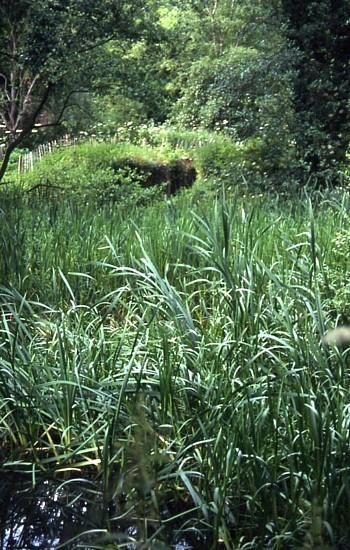 Froghall Lock